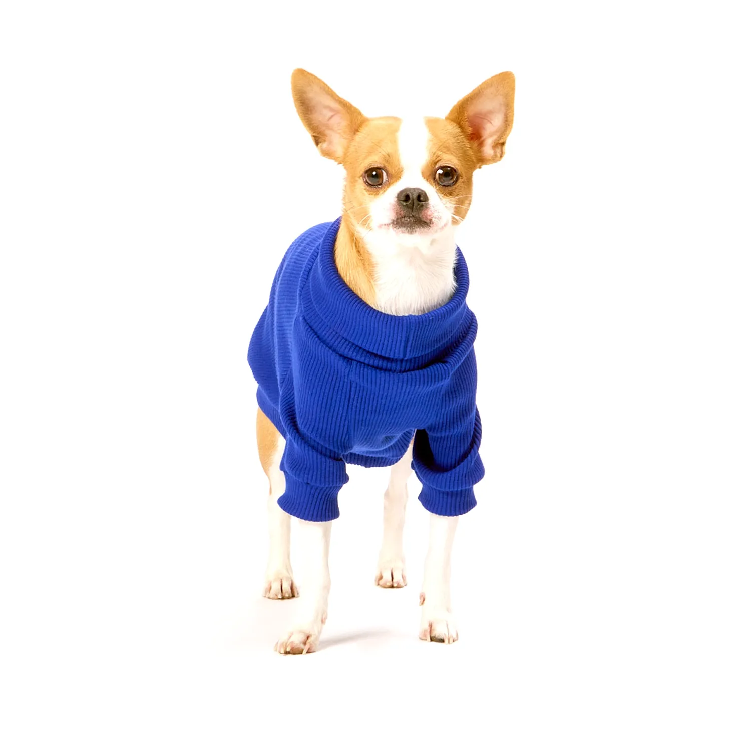 Cacharrel Malha Azul Bichinho Chic